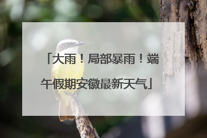 大雨！局部暴雨！端午假期安徽最新天气