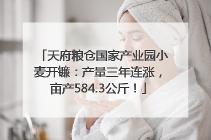 天府粮仓国家产业园小麦开镰：产量三年连涨，亩产584.3公斤！