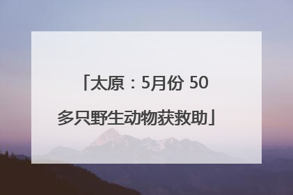 太原：5月份 50多只野生动物获救助