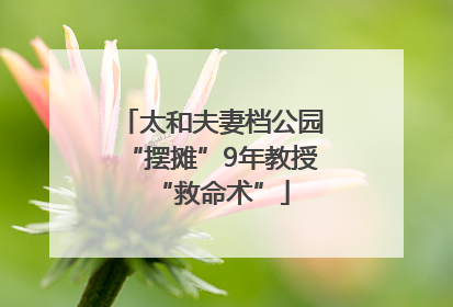 太和夫妻档公园“摆摊”9年教授“救命术”