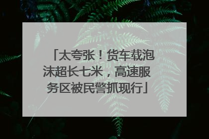 太夸张！货车载泡沫超长七米，高速服务区被民警抓现行