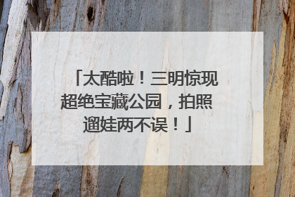太酷啦！三明惊现超绝宝藏公园，拍照遛娃两不误！