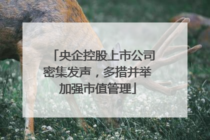 央企控股上市公司密集发声，多措并举加强市值管理
