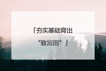 夯实基础育出“致富田”