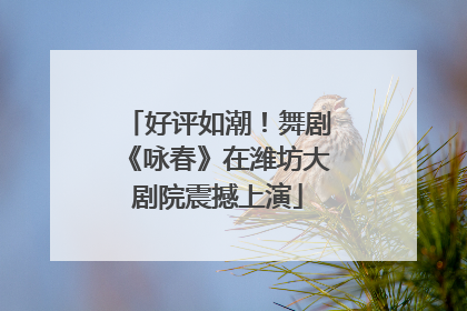 好评如潮！舞剧《咏春》在潍坊大剧院震撼上演