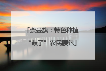 奈曼旗：特色种植“鼓了”农民腰包