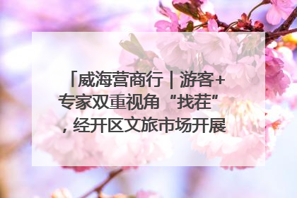 威海营商行｜游客+专家双重视角“找茬”，经开区文旅市场开展暑期前“体检”
