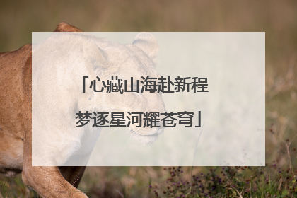 心藏山海赴新程 梦逐星河耀苍穹