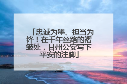 忠诚为墨、担当为锋！在千年丝路的褶皱处，甘州公安写下平安的注脚