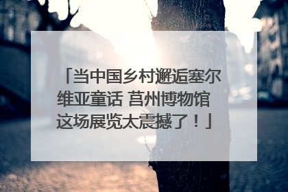 当中国乡村邂逅塞尔维亚童话 莒州博物馆这场展览太震撼了！