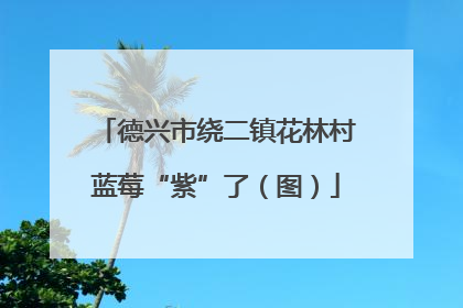 德兴市绕二镇花林村蓝莓“紫”了（图）