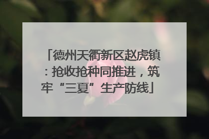 德州天衢新区赵虎镇：抢收抢种同推进，筑牢“三夏”生产防线