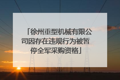 徐州重型机械有限公司因存在违规行为被暂停全军采购资格