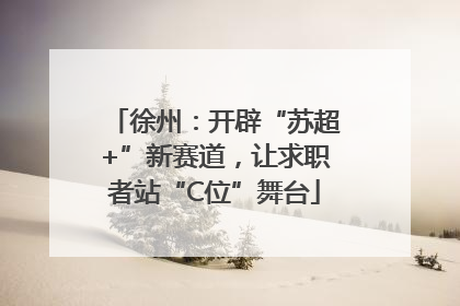 徐州：开辟“苏超+”新赛道，让求职者站“C位”舞台