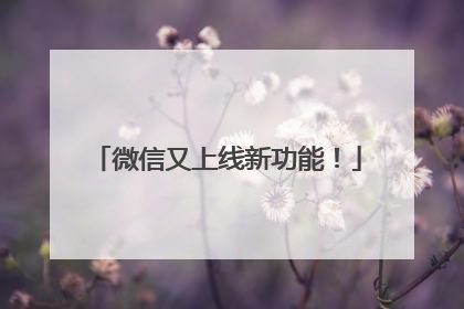 微信又上线新功能！