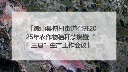 微山县傅村街道召开2025年农作物秸秆禁烧暨“三夏”生产工作会议