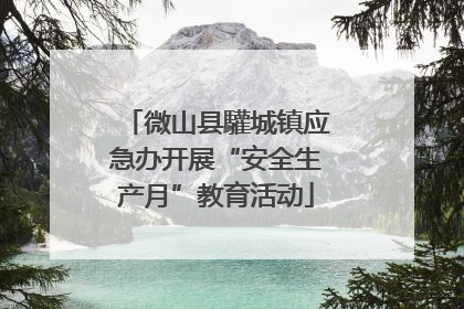 微山县驩城镇应急办开展“安全生产月”教育活动