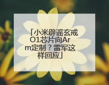 小米辟谣玄戒O1芯片向Arm定制？雷军这样回应