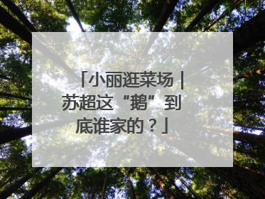 小丽逛菜场｜苏超这“鹅”到底谁家的？