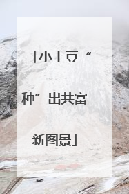 小土豆“种”出共富新图景