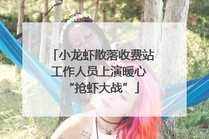 小龙虾散落收费站 工作人员上演暖心“抢虾大战”
