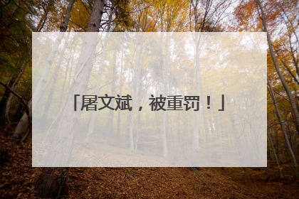 屠文斌，被重罚！