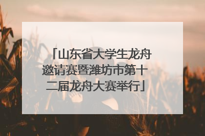 山东省大学生龙舟邀请赛暨潍坊市第十二届龙舟大赛举行