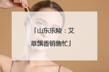 山东乐陵：艾草飘香销售忙