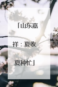 山东嘉祥：夏收夏种忙