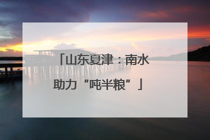 山东夏津：南水助力“吨半粮”