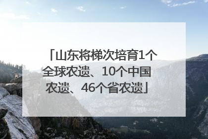 山东将梯次培育1个全球农遗、10个中国农遗、46个省农遗
