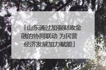 山东通过加强财政金融的协同联动 为民营经济发展加力赋能