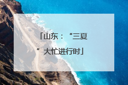 山东：“三夏”大忙进行时
