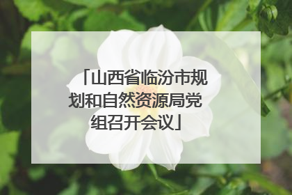 山西省临汾市规划和自然资源局党组召开会议