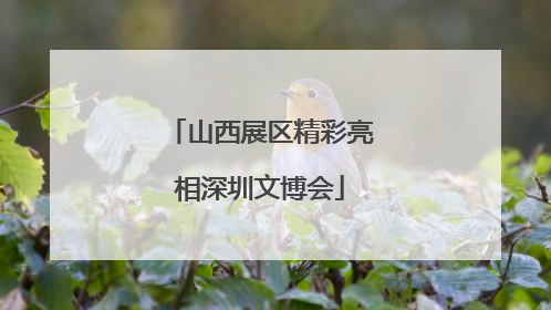山西展区精彩亮相深圳文博会