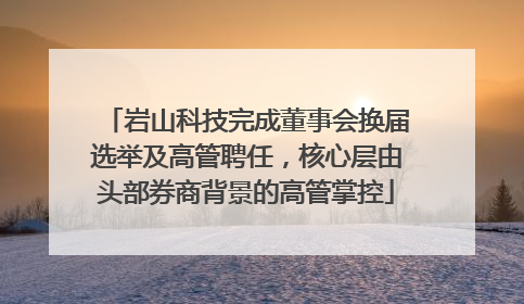 岩山科技完成董事会换届选举及高管聘任，核心层由头部券商背景的高管掌控