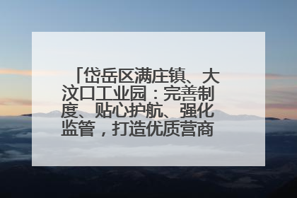 岱岳区满庄镇、大汶口工业园：完善制度、贴心护航、强化监管，打造优质营商“强磁场”