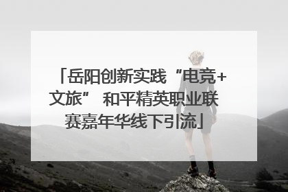 岳阳创新实践“电竞+文旅” 和平精英职业联赛嘉年华线下引流