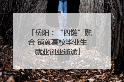 岳阳：“四链”融合 铺就高校毕业生就业创业通途