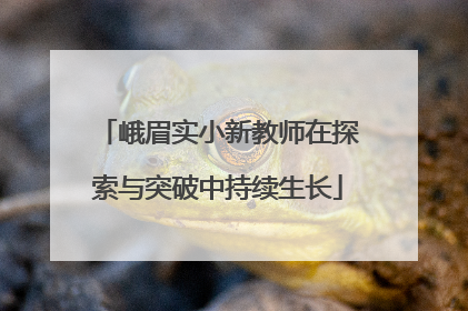 峨眉实小新教师在探索与突破中持续生长