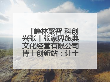 峰林聚智 科创兴张丨张家界旅典文化经营有限公司博士创新站：让土家织锦“智”造出非遗新传奇