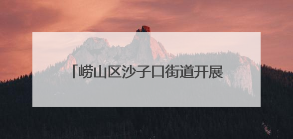 崂山区沙子口街道开展“我们的节日·端午”——“粽情山海间 童心乘风浪”文明实践活动