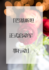 巴基斯坦正式启动军事行动