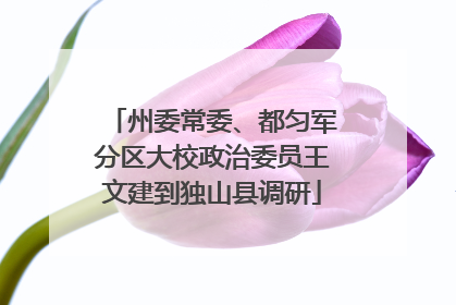 州委常委、都匀军分区大校政治委员王文建到独山县调研