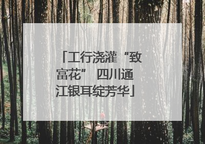 工行浇灌“致富花” 四川通江银耳绽芳华