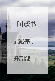 市委书记褚伟，升副部