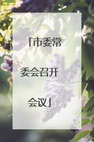 市委常委会召开会议