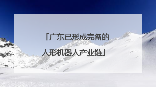广东已形成完备的人形机器人产业链