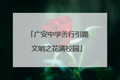 广安中学善行引路 文明之花满校园