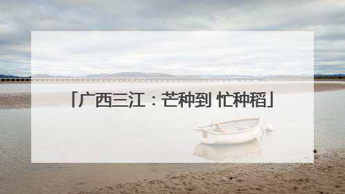 广西三江：芒种到 忙种稻